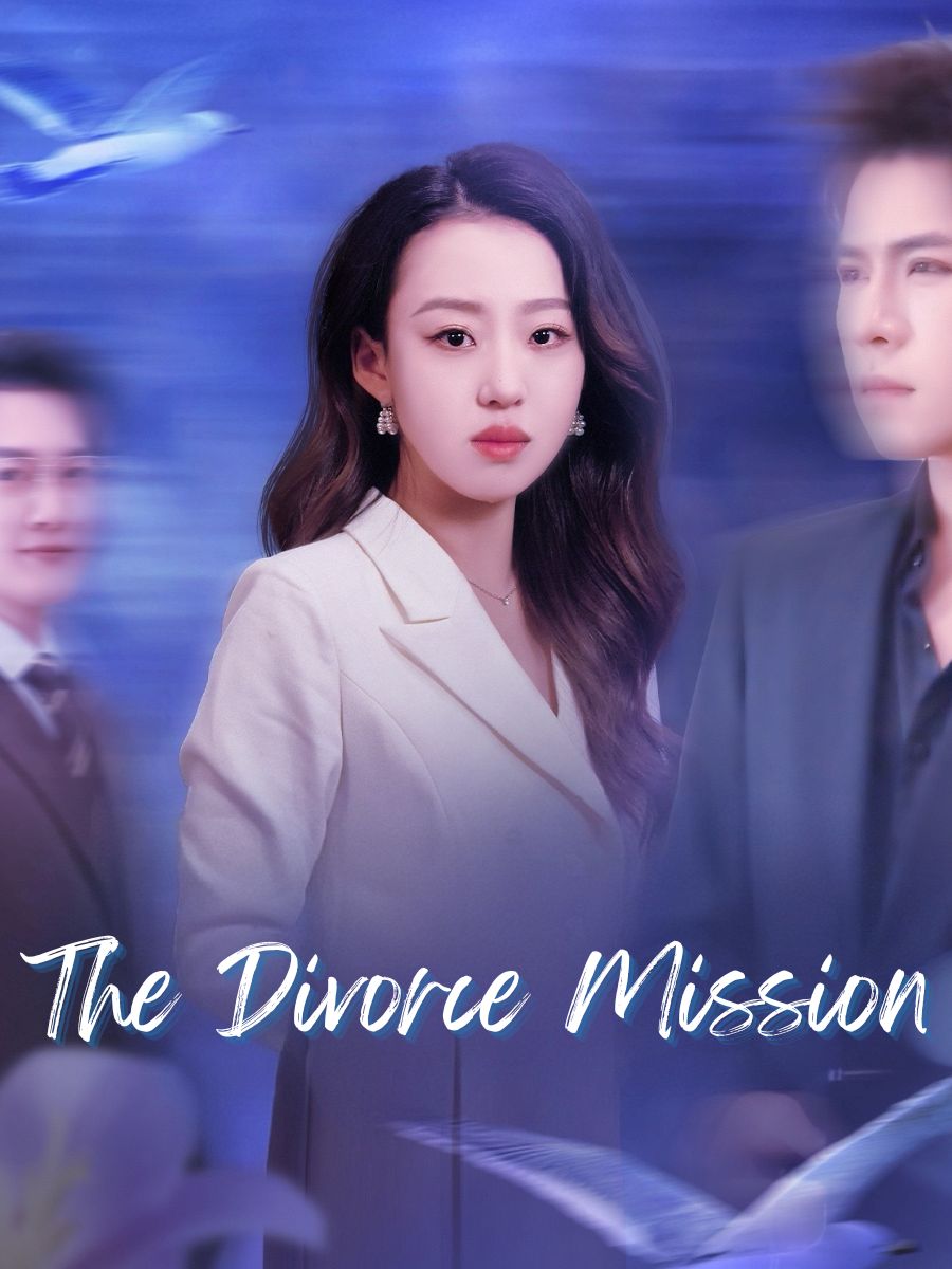The Divorce Mission
