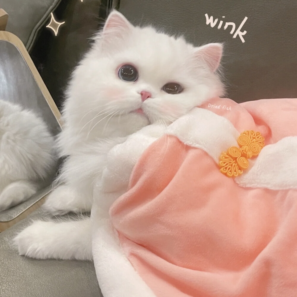 契约甜宠