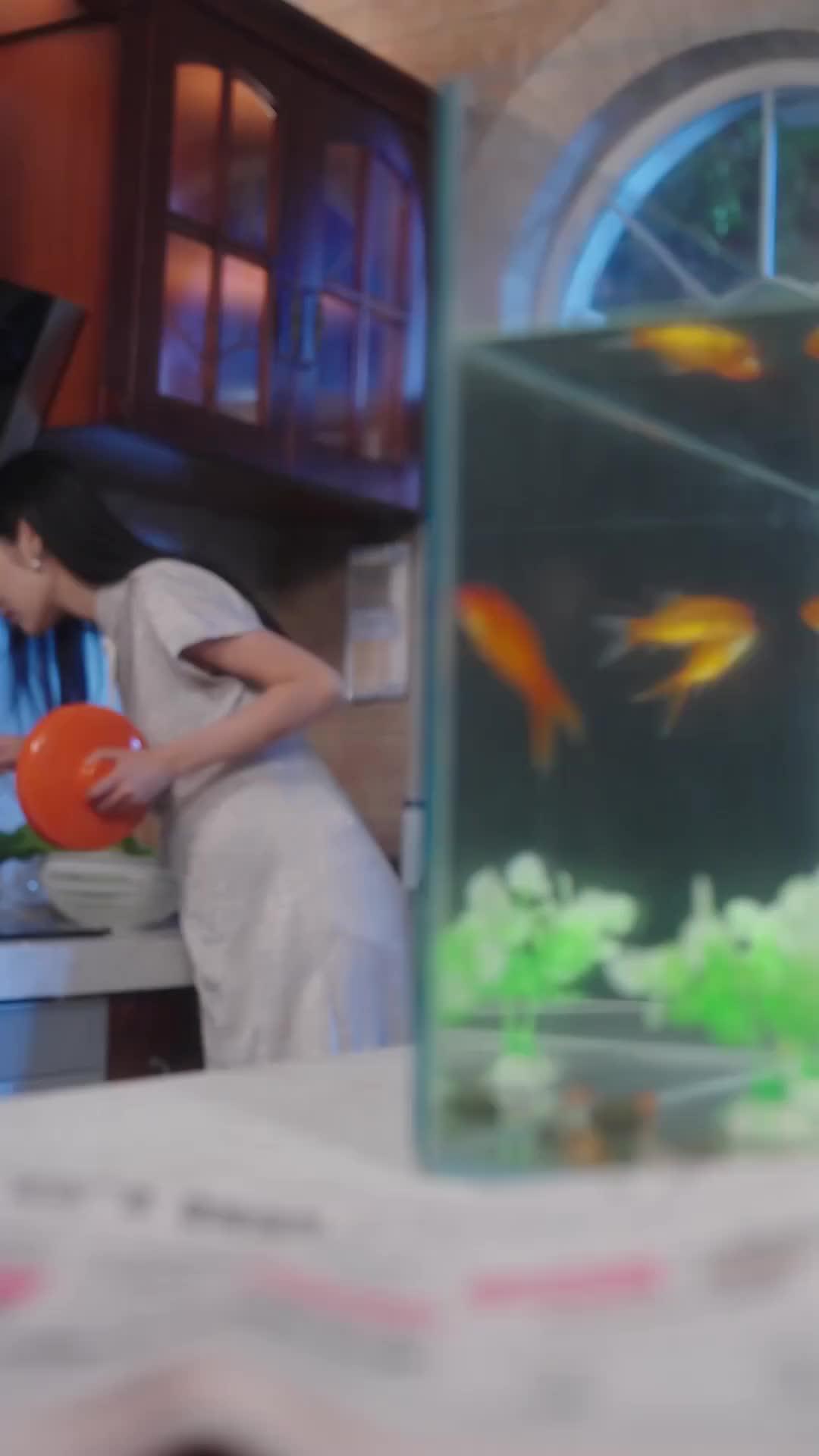 Non Nước Có Ngày Gặp Lại