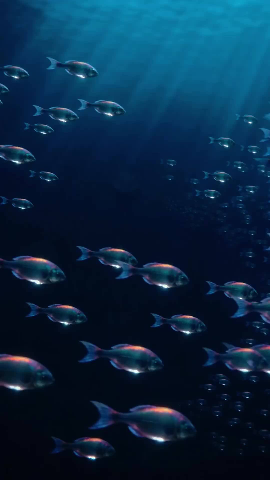 Poster From Mudblood to Atlantis' Owner