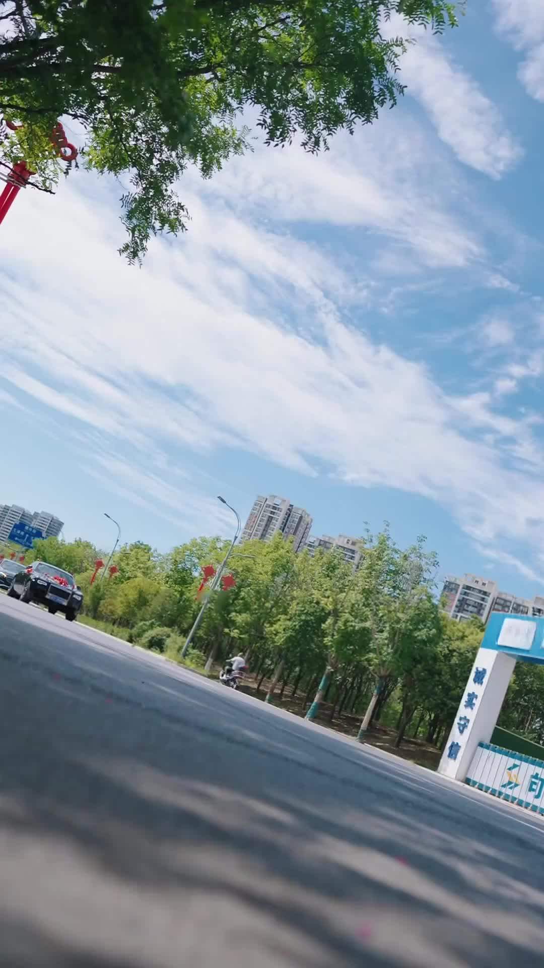 The Lady CEO’s Accidental Husband