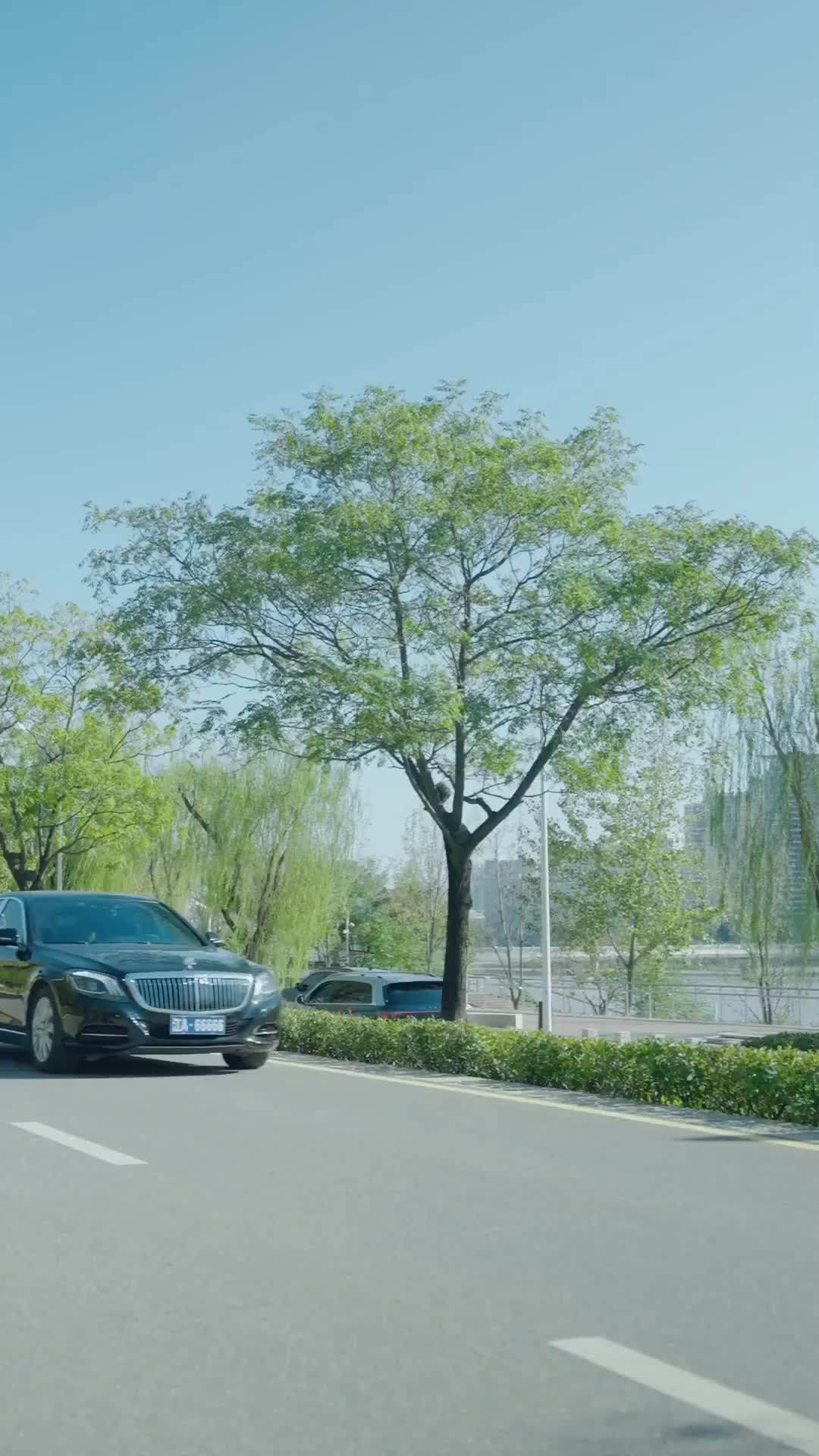 (Dubbed) Cực Phẩm Yêu Chiều tập 62